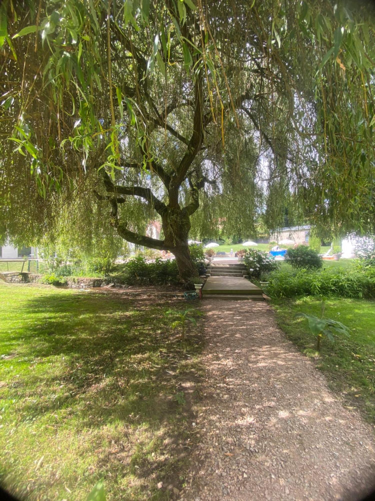 Le Moulin De La Vernoelle Premilhat Exteriör bild